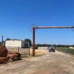 Iguana RV Park & Resort