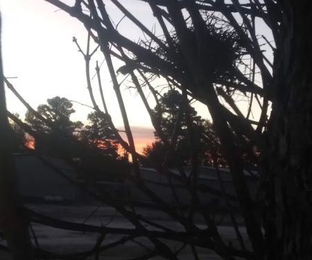 Country View RV Park & Stone For Sale