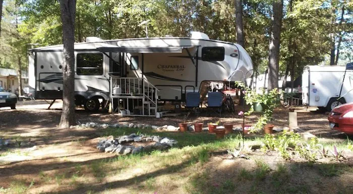 Shady Pines RV Park Picture 4