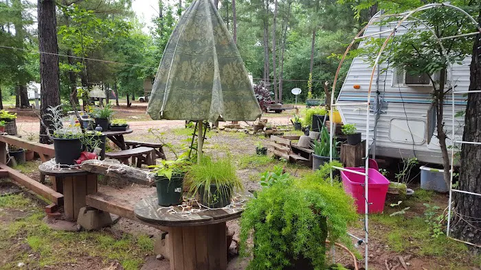 Shady Pines RV Park Picture 7