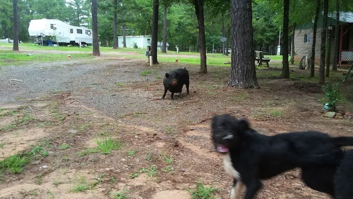 Shady Pines RV Park Picture 9