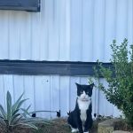 Longview. Mobile Home Park.