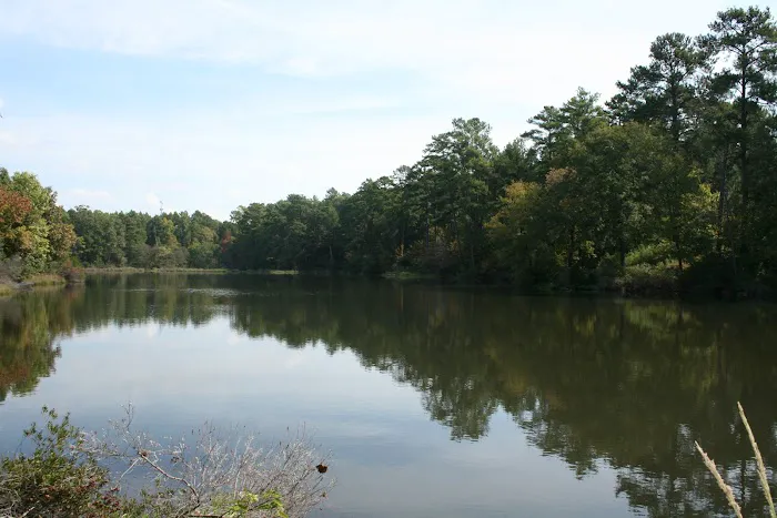 Comfort Lake Village Picture 2