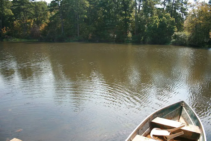 Comfort Lake Village Picture 5