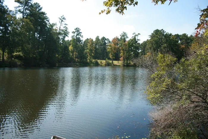 Comfort Lake Village Picture 6