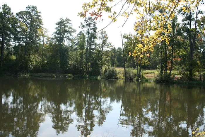 Comfort Lake Village Picture 9