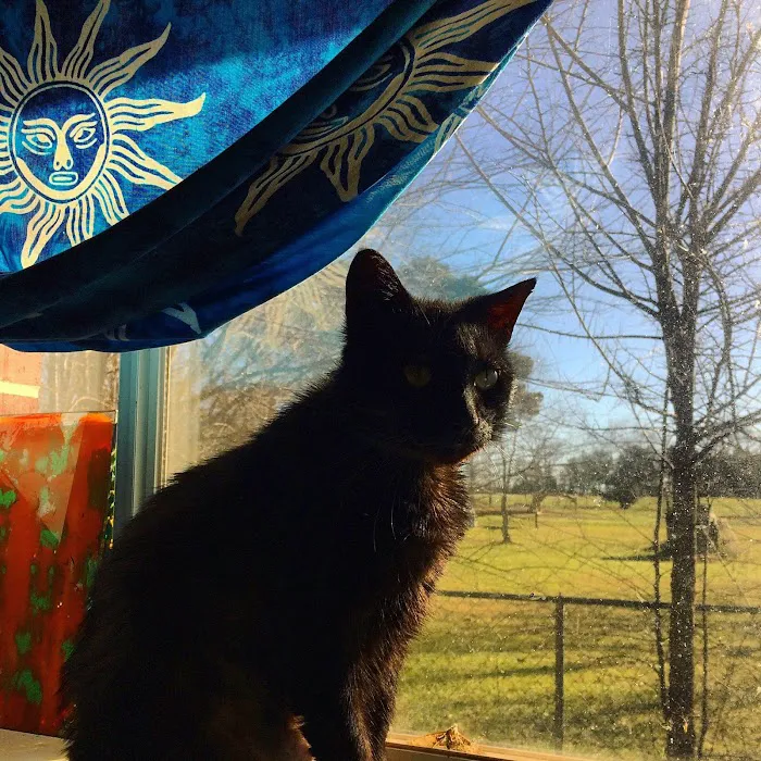 Cypress Valley RV Park Picture 5