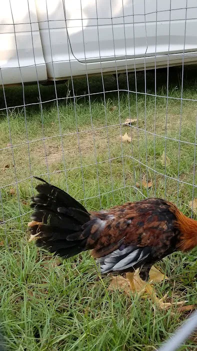 Cypress Valley RV Park Picture 7