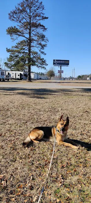 Miss Ellie's RV Park Picture 1