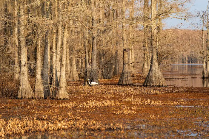 Tuckers Hunting and Fishing Camp Picture 3