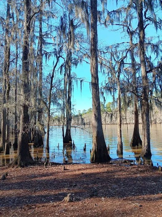 Tuckers Hunting and Fishing Camp Picture 5