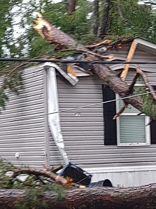 The Grove at Brookhollow Picture 5