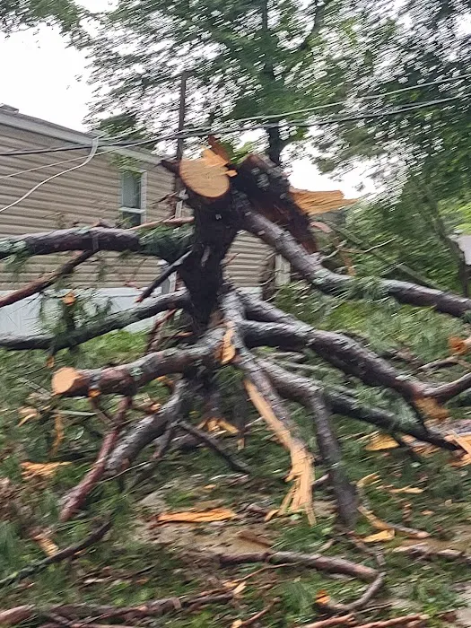 The Grove at Brookhollow Picture 7