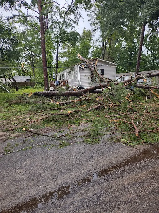 The Grove at Brookhollow Picture 6