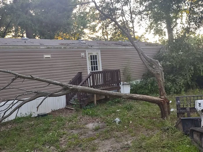 The Grove at Brookhollow Picture 2