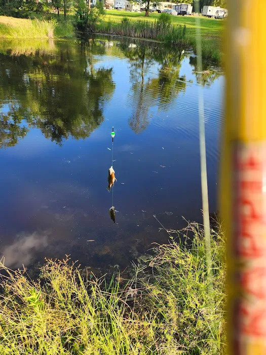 Country Haven RV Park Picture 1