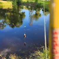 Country Haven RV Park ico