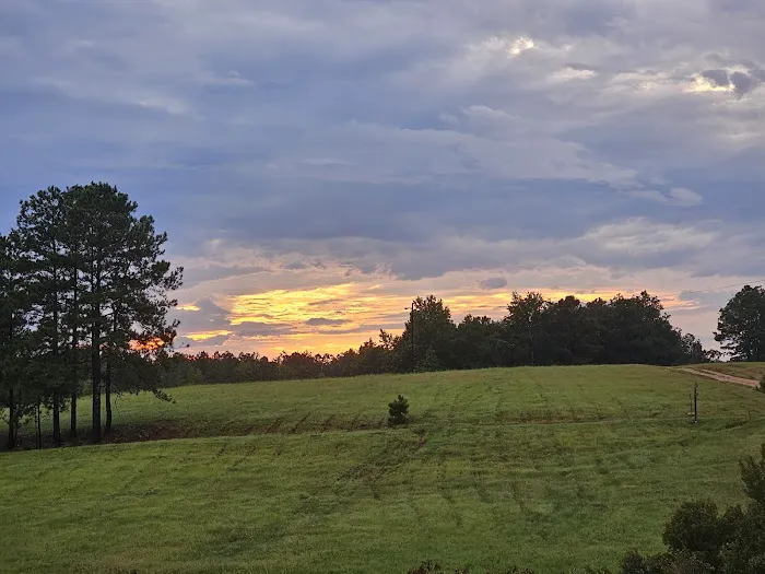 Bonnie & Clyde Trade Days & RV Park Picture 2