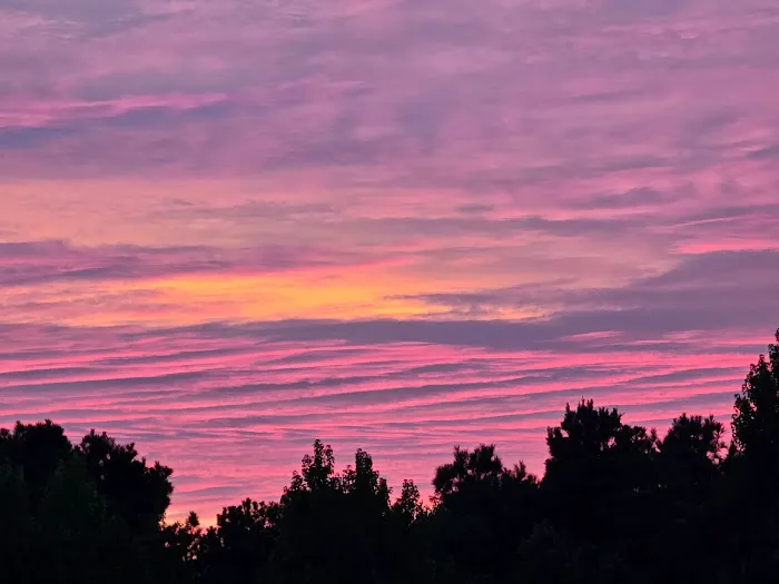 Bonnie & Clyde Trade Days & RV Park Picture 6