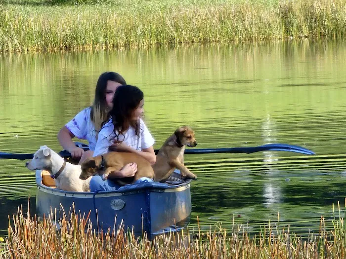 Bonnie & Clyde Trade Days & RV Park Picture 9