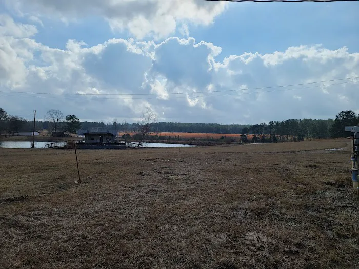 Bonnie & Clyde Trade Days & RV Park Picture 7