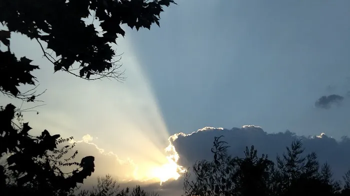 Oxbow Marina RV Park Picture 3