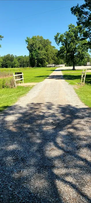 Austin Pioneer RV Park Picture 10