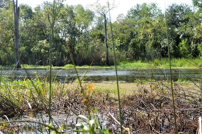 Cypress Lake RV Park Picture 9