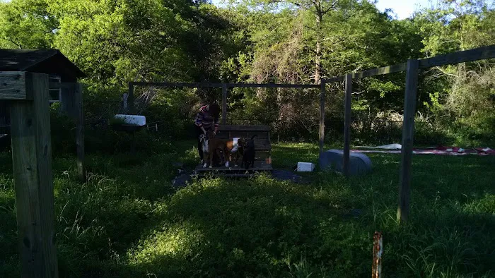 West Orange Mobile Home Comm Picture 3