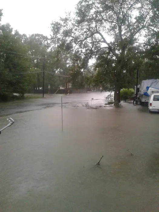 West Orange Mobile Home Comm Picture 4