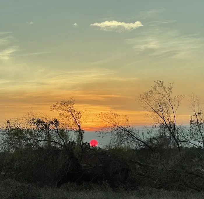 Paradise RV Park Picture 5