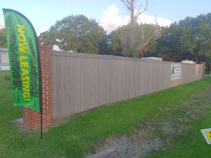 Bayou Pines Mobile Home Park Picture 3