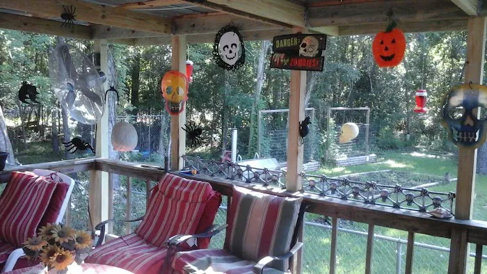 Forest Hollow Mobile Home Community Picture 8