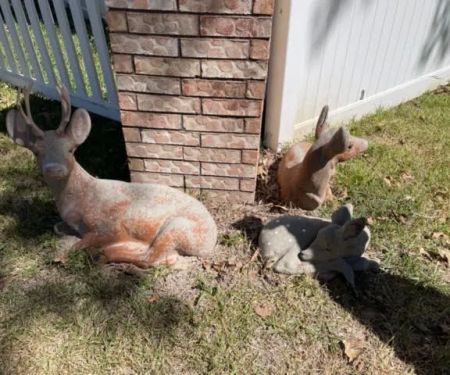 DeerPark Mobile Home and RV Park