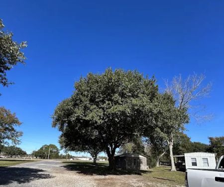 Mobile Estates, RV and Mobile Home Park, LLC