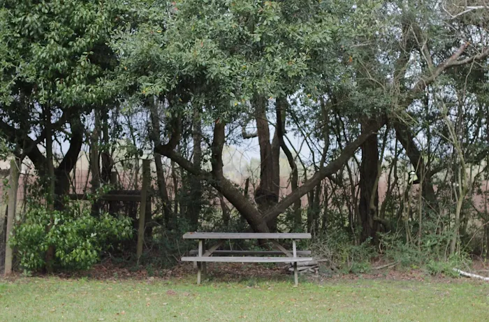 4C's RV Park Picture 5