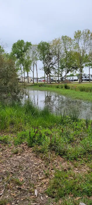 Town & Country RV Park Picture 2
