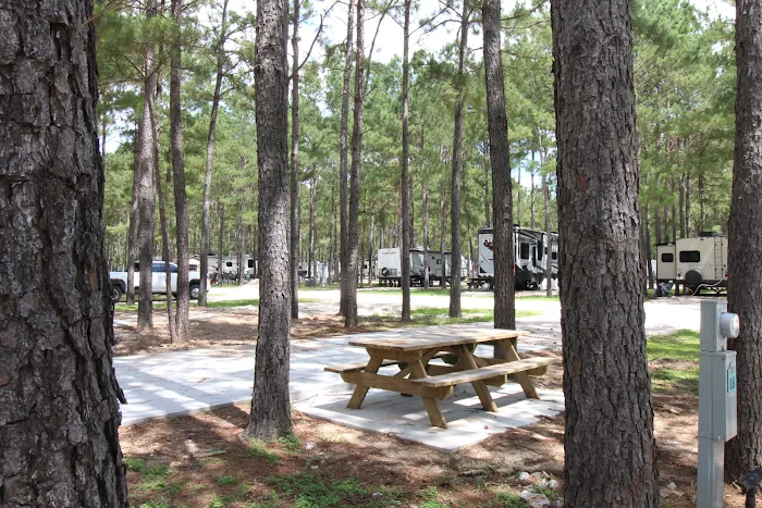 Blue Sky Lake Livingston RV Park & Cabins Picture 9