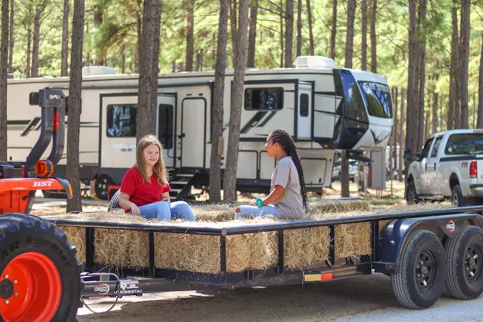 Blue Sky Lake Livingston RV Park & Cabins Picture 8