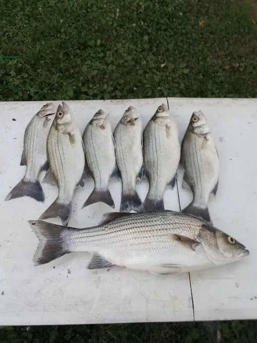 Lake Livingston Fish n Camp RV park Picture 3