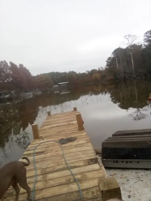 Lake Livingston Fish n Camp RV park Picture 1