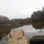 Lake Livingston Fish n Camp RV park