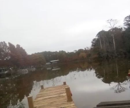 Lake Livingston Fish n Camp RV park