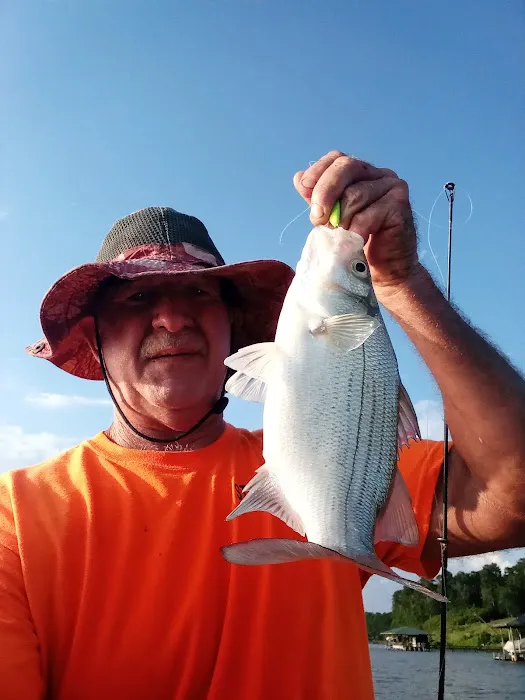 Lake Livingston Fish n Camp RV park Picture 2