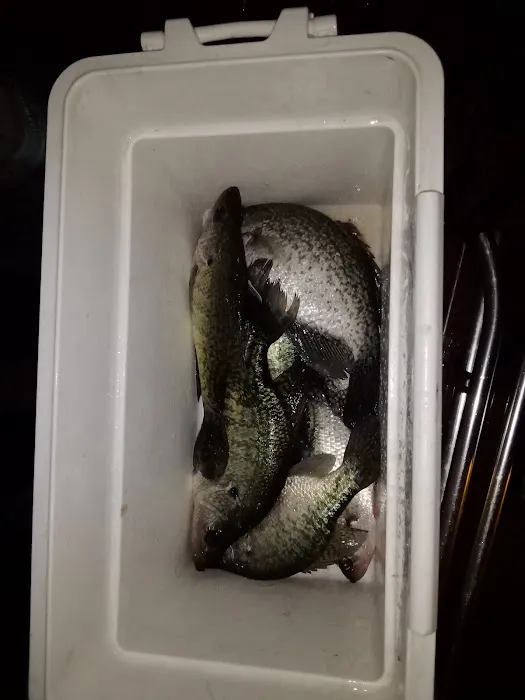 Lake Livingston Fish n Camp RV park Picture 4