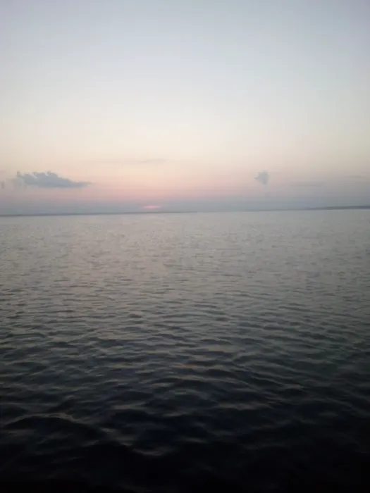 Lake Livingston Fish n Camp RV park Picture 9