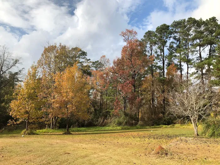 Magnolia RV Park Picture 3
