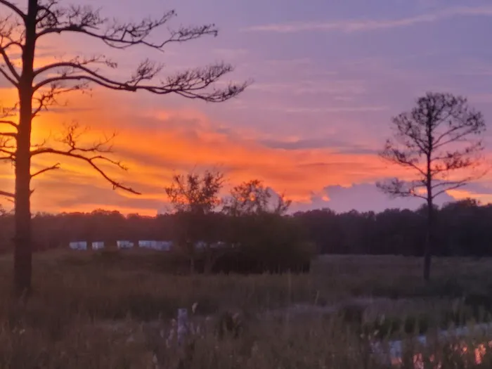 Highway 90 RV Resort and Storage Picture 3