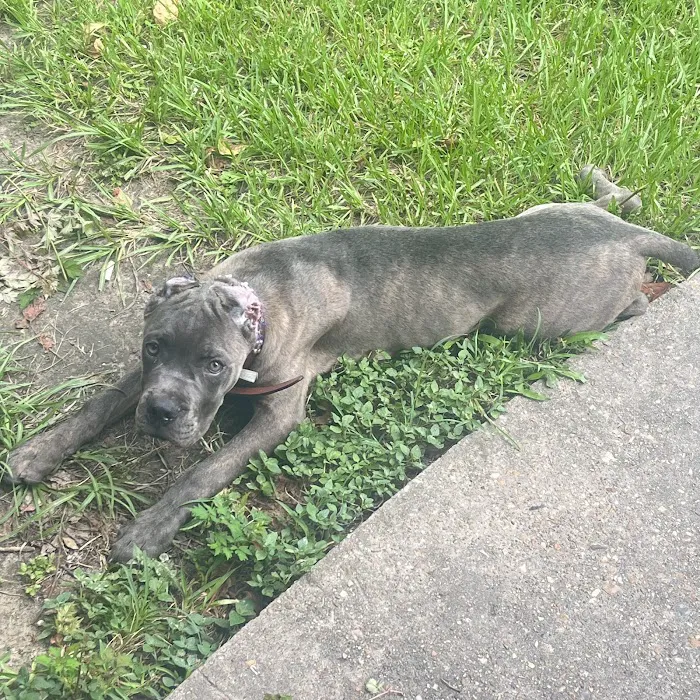 Superior Mobile Home Park Picture 10