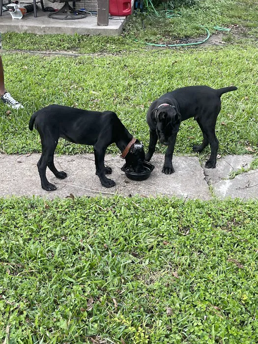 Superior Mobile Home Park Picture 5